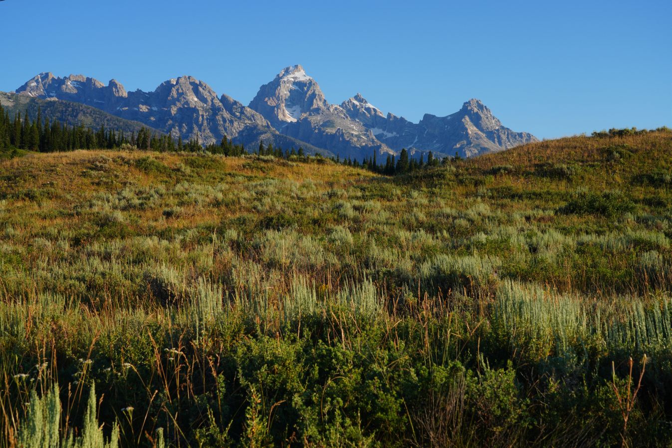 Jackson Hole, Wyoming